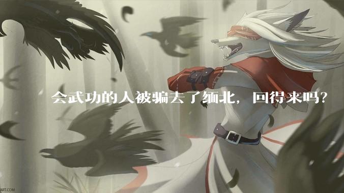 会武功的人被骗去了缅北，回得来吗？