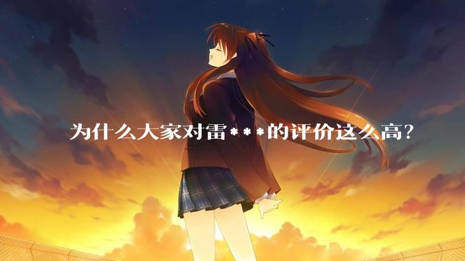 为什么大家对雷***的评价这么高？